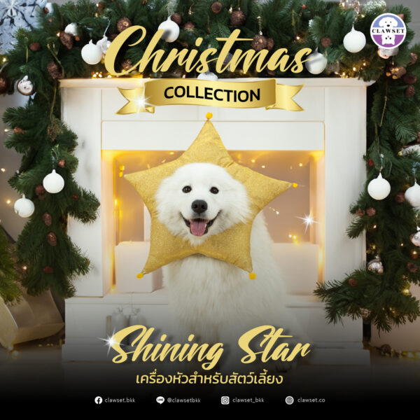 The Shining Star