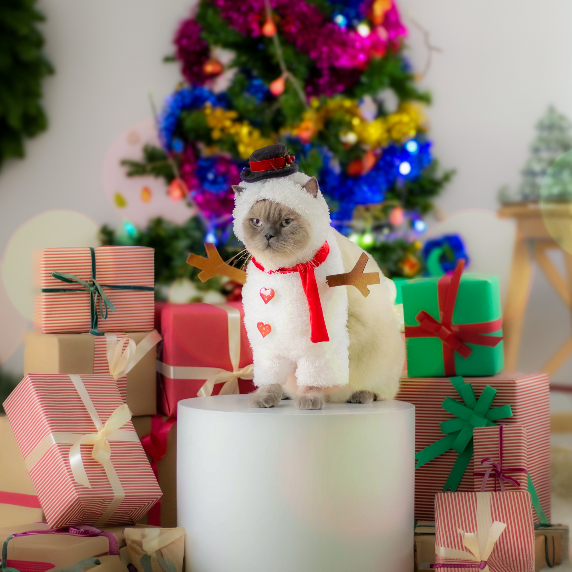 Christmas-426