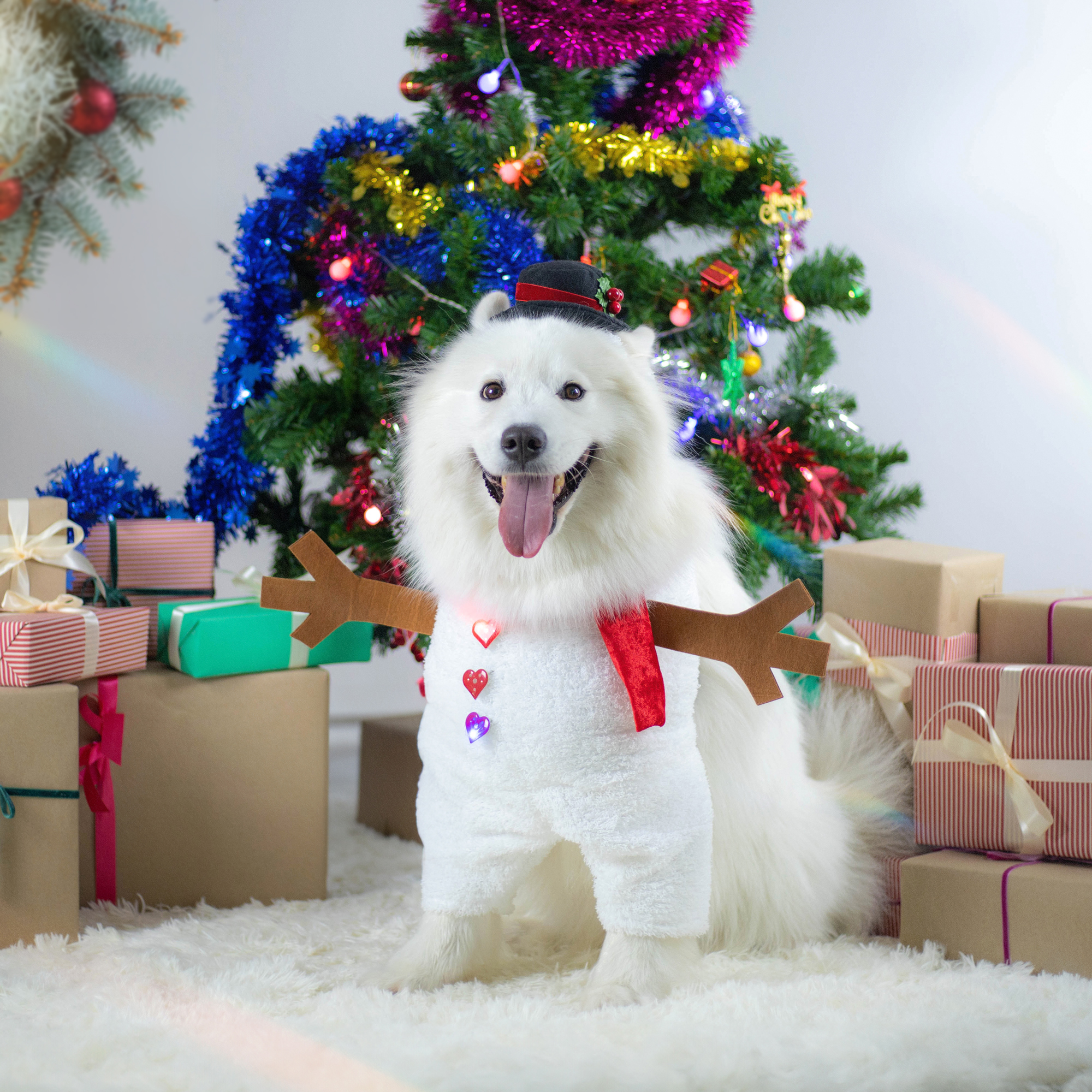Christmas—lady-676